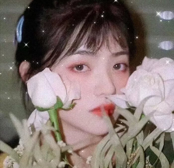 漫研社第三季