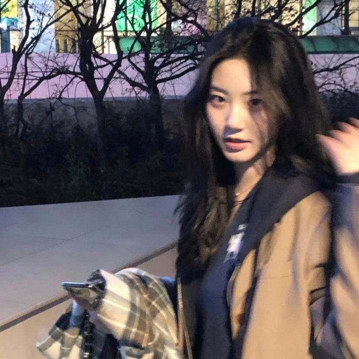 摇滚藏獒